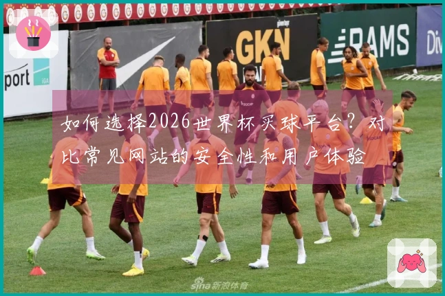 如何选择2026世界杯买球平台？对比常见网站的安全性和用户体验