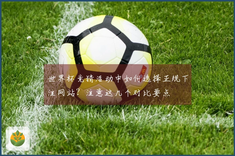 世界杯竞猜活动中如何选择正规下注网站？注意这几个对比要点