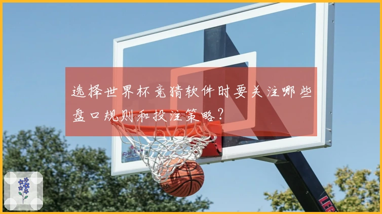 选择世界杯竞猜软件时要关注哪些盘口规则和投注策略？