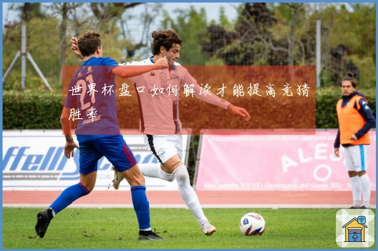 世界杯盘口如何解读才能提高竞猜胜率