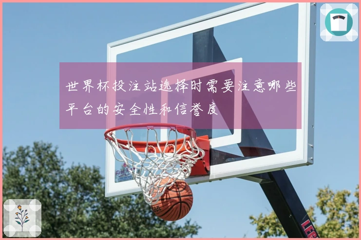 世界杯投注站选择时需要注意哪些平台的安全性和信誉度