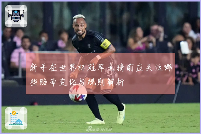 新手在世界杯冠军竞猜前应关注哪些赔率变化与规则解析