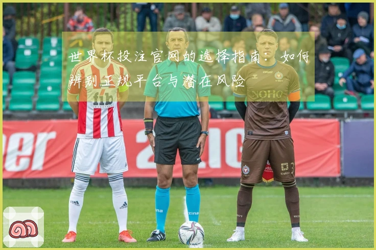 世界杯投注官网的选择指南：如何辨别正规平台与潜在风险