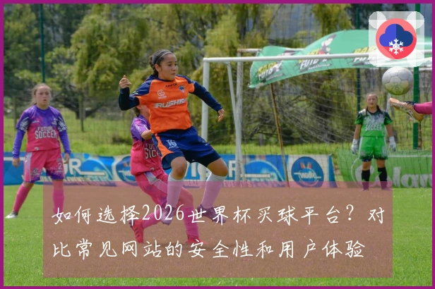 如何选择2026世界杯买球平台?对比常见网站的安全性和用户体验