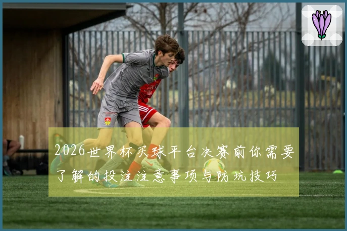 2026世界杯买球平台决赛前你需要了解的投注注意事项与防坑技巧