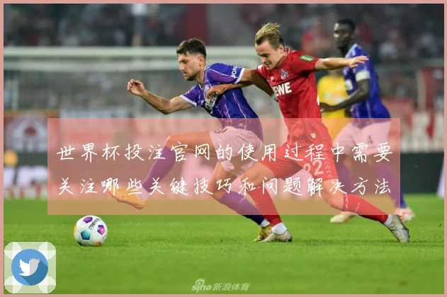 世界杯投注官网的使用过程中需要关注哪些关键技巧和问题解决方法