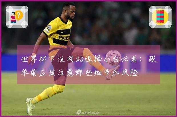世界杯下注网站选择小白必看：跟单前应该注意哪些细节和风险