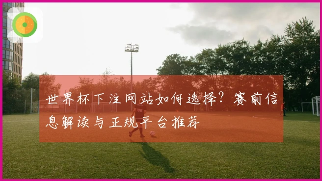 世界杯下注网站如何选择？赛前信息解读与正规平台推荐