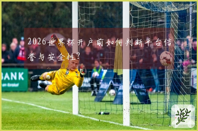 2026世界杯开户前如何判断平台信誉与安全性?
