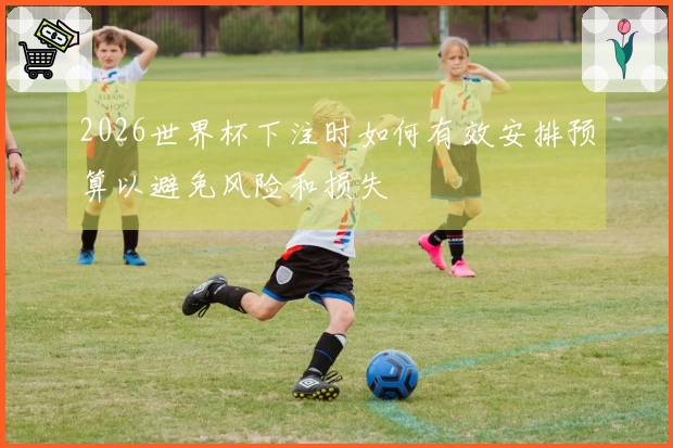 2026世界杯下注时如何有效安排预算以避免风险和损失