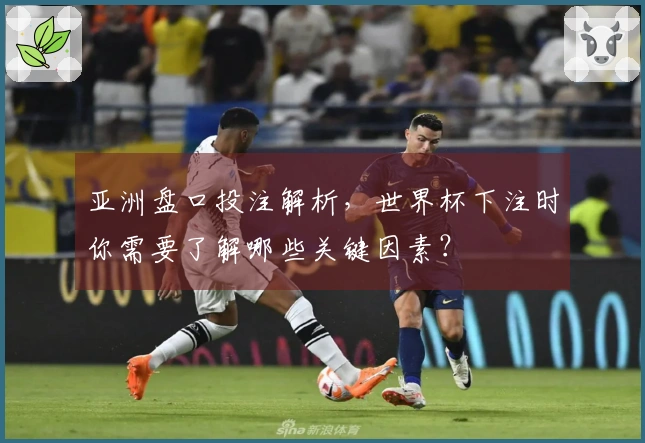 亚洲盘口投注解析，世界杯下注时你需要了解哪些关键因素？