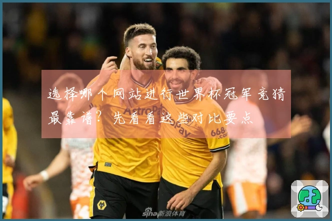选择哪个网站进行世界杯冠军竞猜最靠谱?先看看这些对比要点