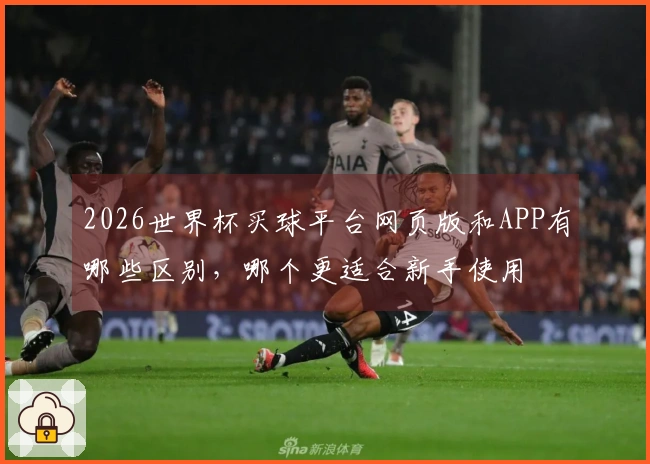 2026世界杯买球平台网页版和APP有哪些区别,哪个更适合新手使用