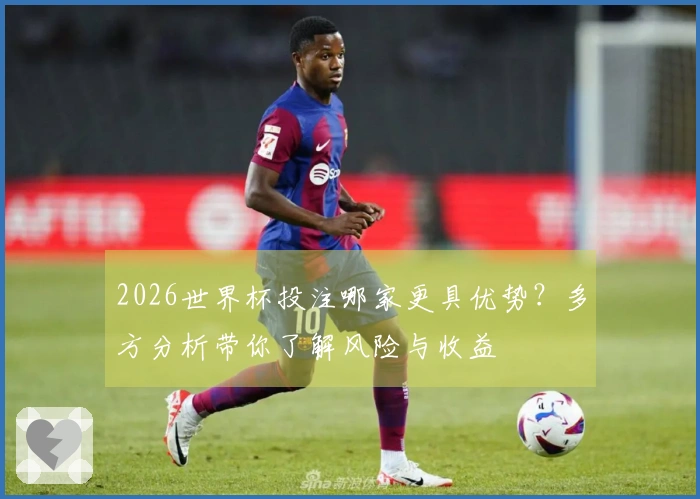 2026世界杯投注哪家更具优势？多方分析带你了解风险与收益