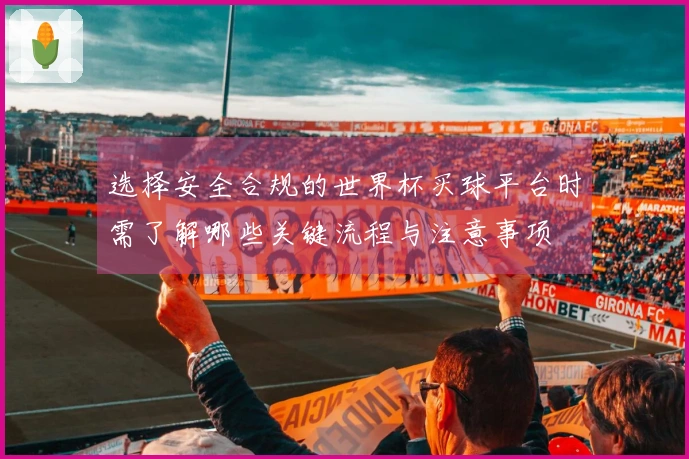 选择安全合规的世界杯买球平台时需了解哪些关键流程与注意事项
