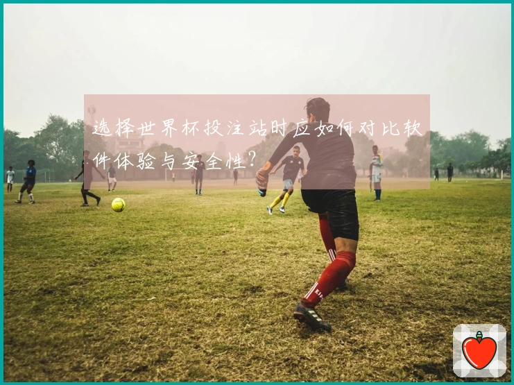 选择世界杯投注站时应如何对比软件体验与安全性？