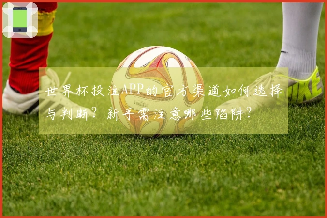 世界杯投注APP的官方渠道如何选择与判断？新手需注意哪些陷阱？