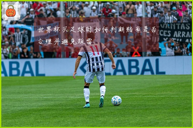 世界杯买足球时如何判断赔率是否合理并避免踩雷