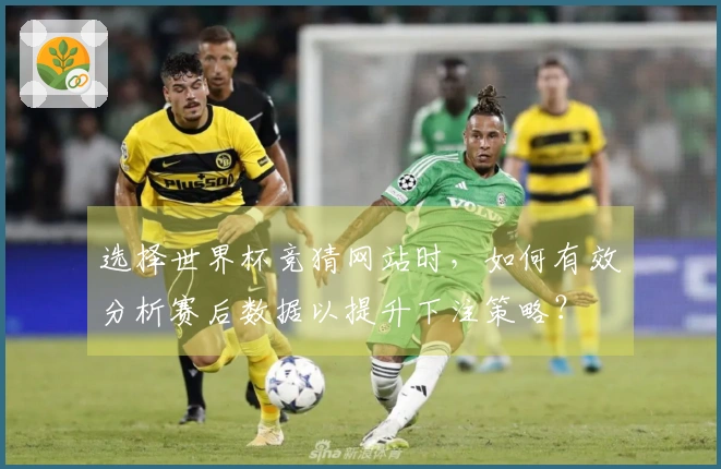 选择世界杯竞猜网站时，如何有效分析赛后数据以提升下注策略？
