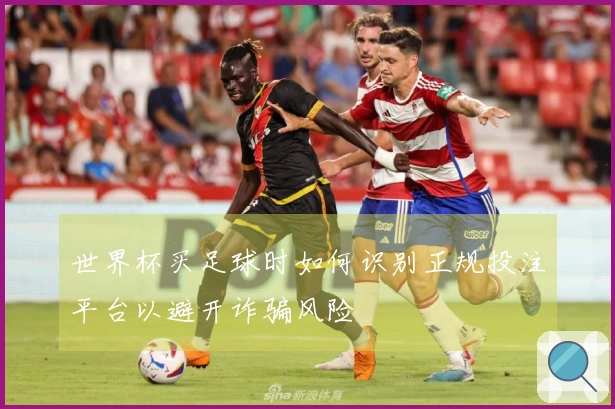 世界杯买足球时如何识别正规投注平台以避开诈骗风险