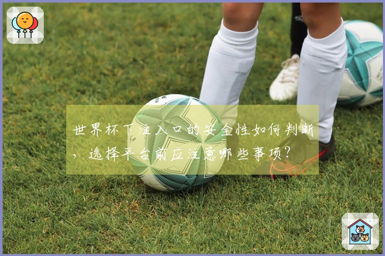 世界杯下注入口的安全性如何判断，选择平台前应注意哪些事项？