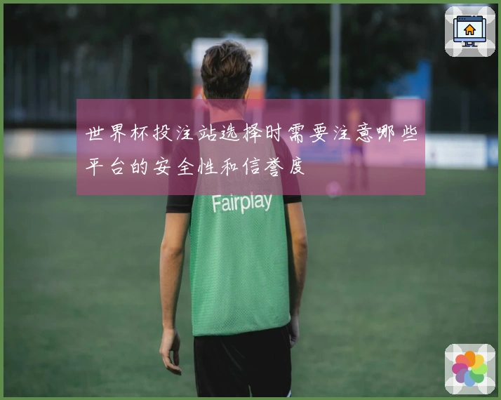 世界杯投注站选择时需要注意哪些平台的安全性和信誉度