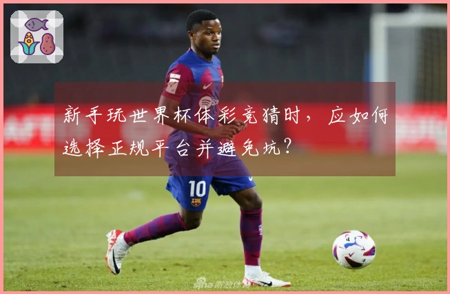 新手玩世界杯体彩竞猜时，应如何选择正规平台并避免坑？