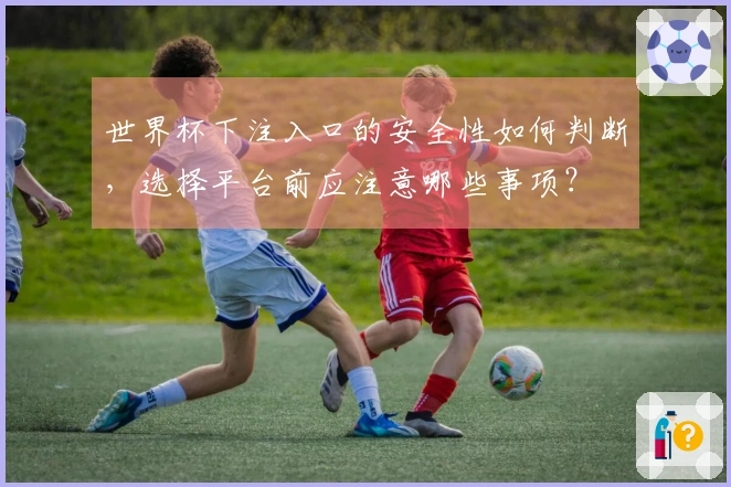 世界杯下注入口的安全性如何判断,选择平台前应注意哪些事项?