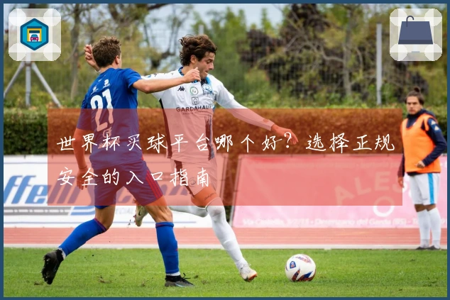 世界杯买球平台哪个好？选择正规安全的入口指南