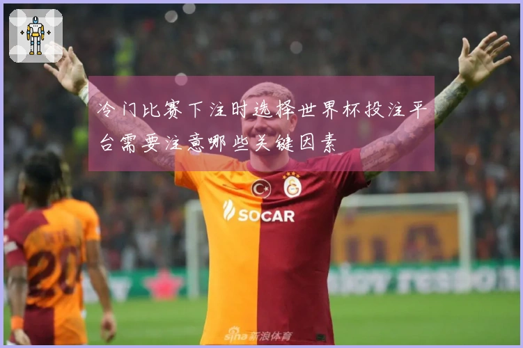 冷门比赛下注时选择世界杯投注平台需要注意哪些关键因素